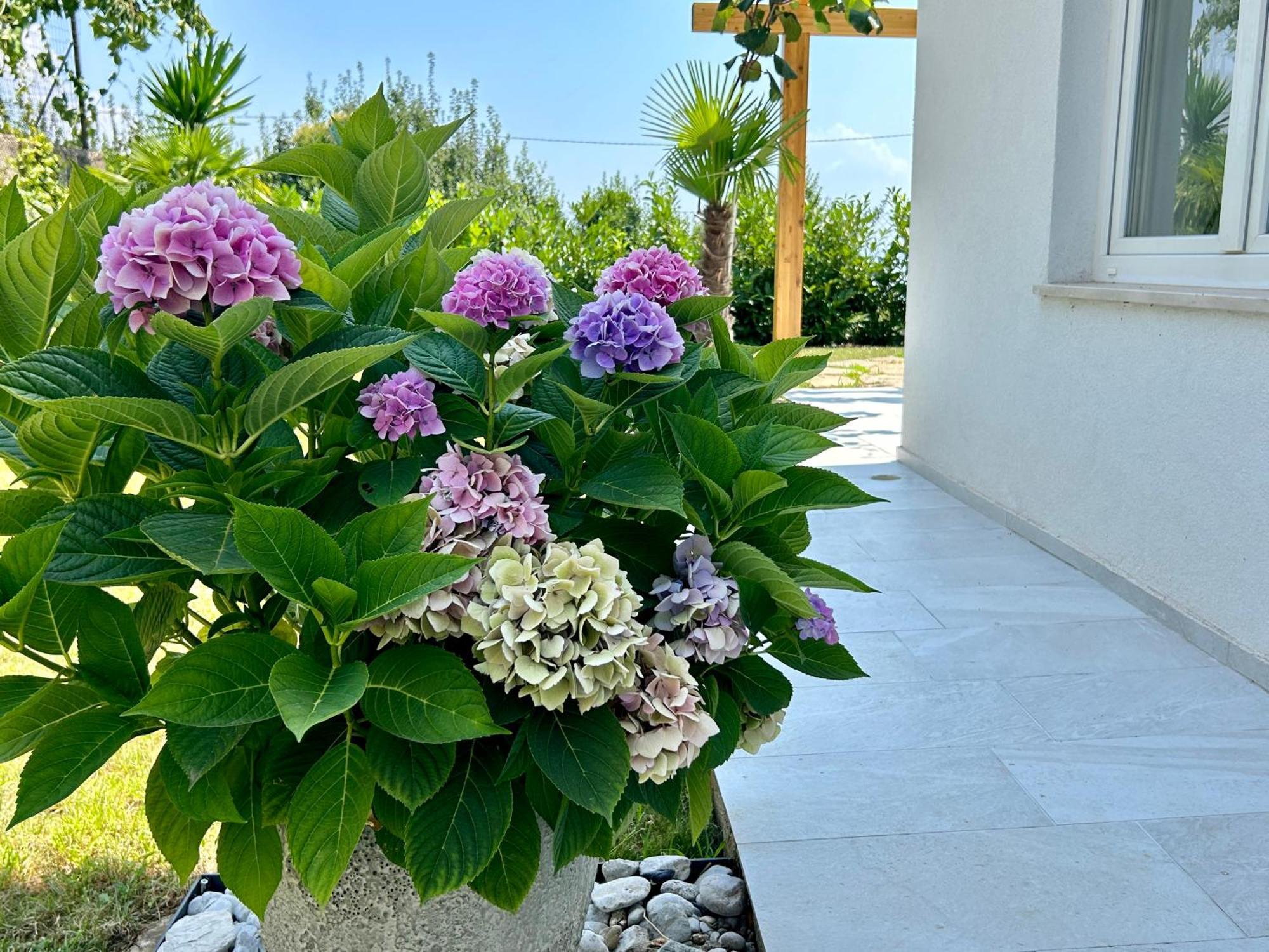 Villa Palma Lovran Buitenkant foto